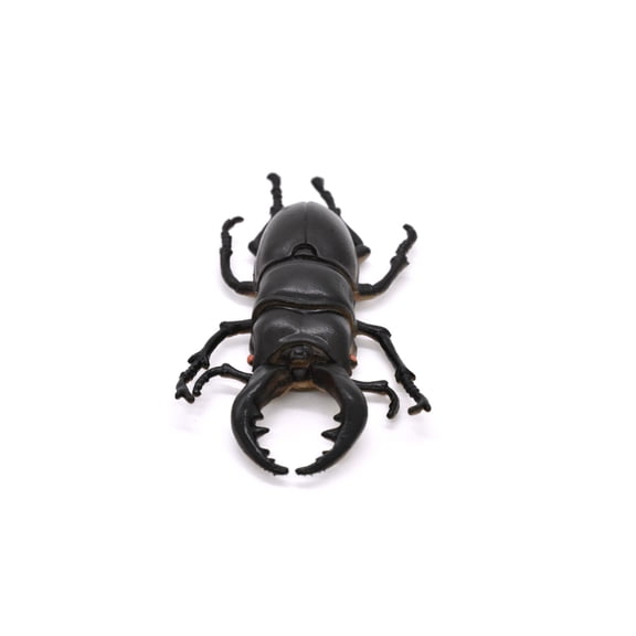 Stag Beetle Toy, Realistic Rubber Model, Bug, Insect 3" CWG01 B13