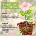 thumbnail image 2 of 20 LBS Organic Expanded Clay Pebbles, 4mm -16mm Light Expanded Clay Aggregate, Natural Clay Pebbles for Hydroponic & Aquaponics Growing, Orchid Potting Mix, Dutch Buckets, Drainage, 2 of 7