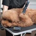 thumbnail image 6 of Oneisall Detachable Battery Replacement for PC14 Professional Dog Clippers, 6 of 6