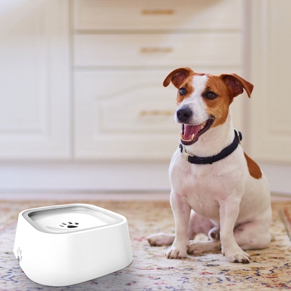 Pet Anti splash Water Bowl Home Living Room drinking bowl pet Non slip Drinking Bowl ABS Plastic Dish Pet Supplies White