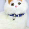 thumbnail image 2 of Colliers en Cuir pour Chats, Chiots, Réglables 8"-10.5", 2 of 5