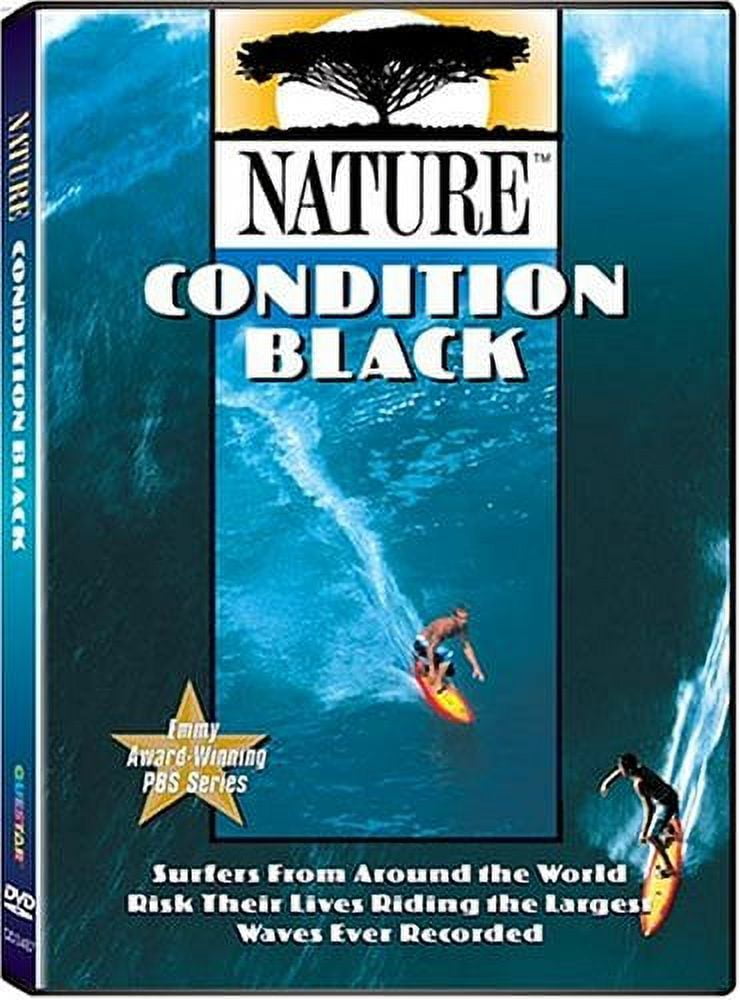 ネットで注文 Nature: Kilauea - Mountain of Fire DVD NEW - Walmart.com その他