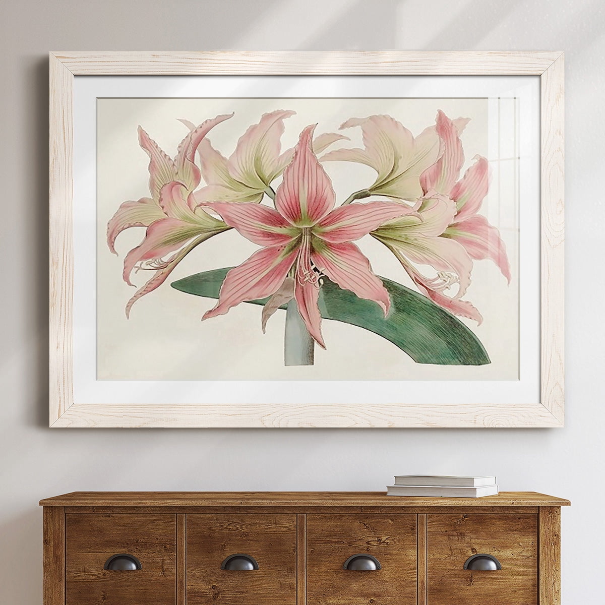 Amaryllis Varietals I-Premium Framed Print - Ready to Hang