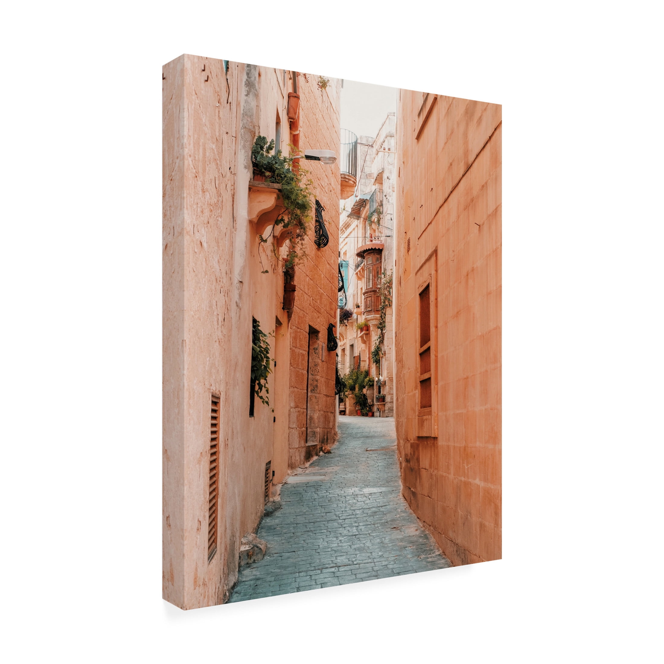 Canvas Wall Art - Krista Broadway 'Fes' Wall Art for Living Room, Bedroom, or Office Décor by Trademark Fine Art - 24 x 32 Inches