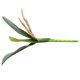 thumbnail image 2 of Toystoory Ramo de hojas de orquídeas artificiales, planta de simulación, arreglo de oficina en casa, planta de plástico Flores artificiales, 2 of 6
