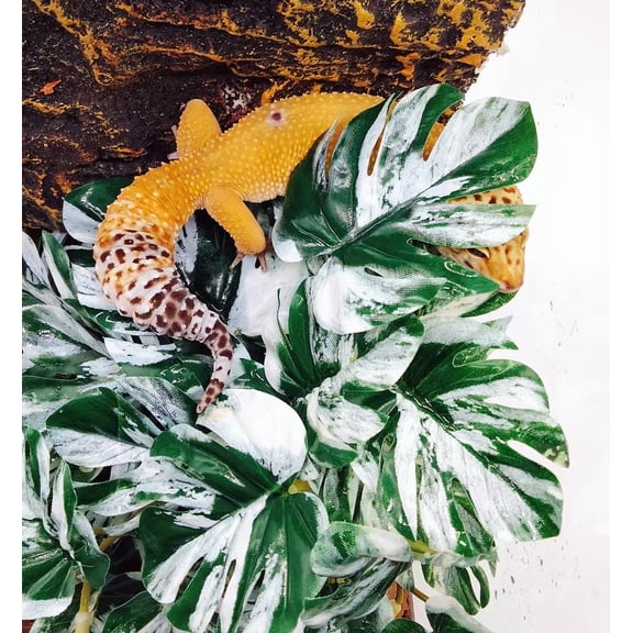 Reptile Plants for Terrarium, Amphibian Habitat Decor Artificial Hanging Plants with Suction Cup, Artificial Plants for Gecko Chameleon Snake Tortoise Tank Accessories. (Monstera)