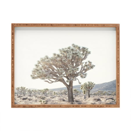 

Society6 Bree Madden Desert Light Large Rectangle Bamboo Tray 18 x 14