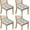 Schnauzer Dogs, variant on Shiba Inu Seat Covers for Dining Room Chairs Set Of 4,Stretch Printed Washable Chair Seat Cover with Elastic Ties and Button,Removable Waterproof Couch Cushion Covers