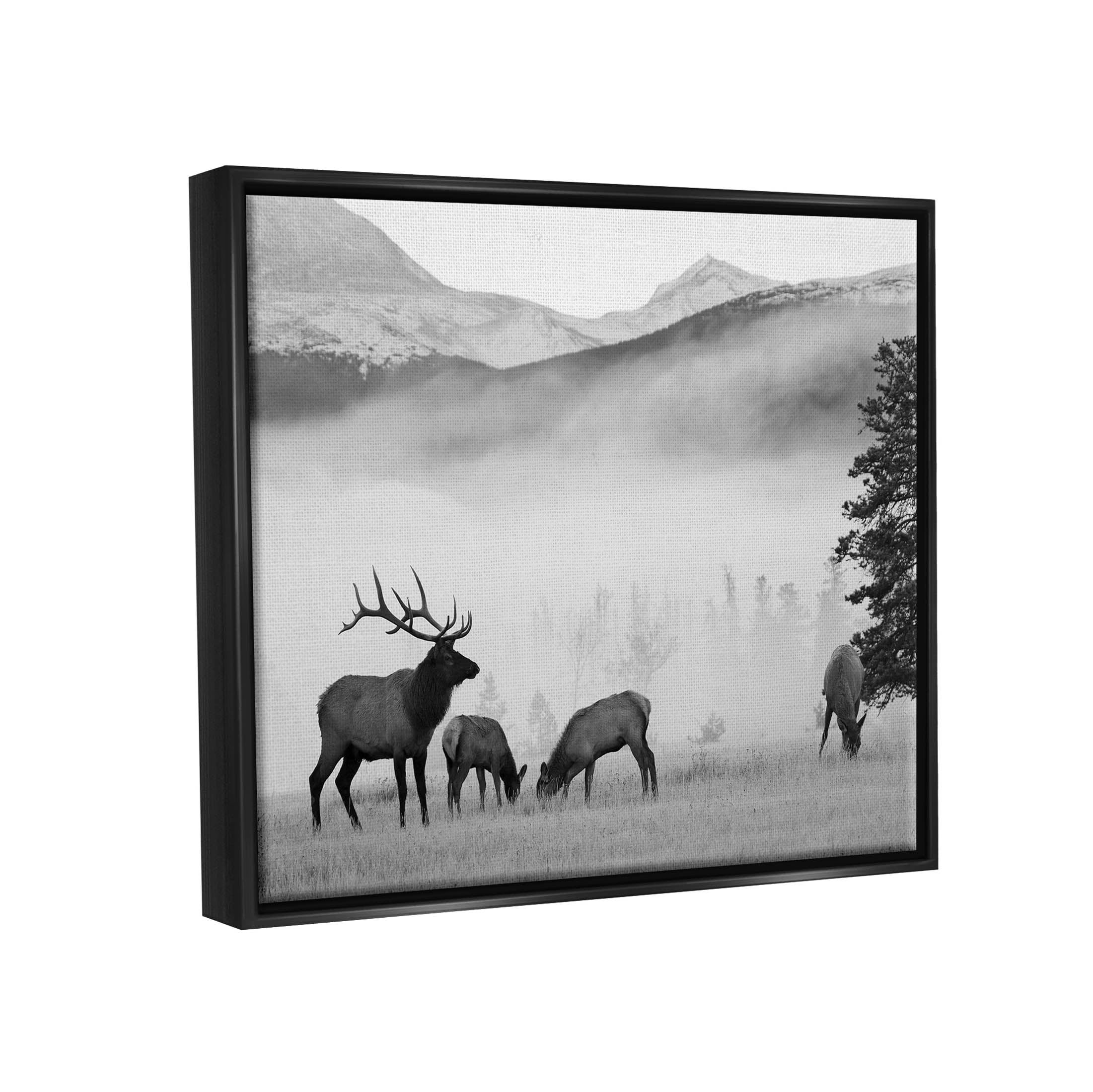 Stupell Industries Foggy Rural Deer Grazing Photograph Jet Black Floating Framed Canvas Print Wall Art, Design by Danita Delimont