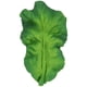 thumbnail image 1 of Juguete de dentición Oli & Carol Kendall The Kale para bebé, 1 of 7