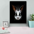 thumbnail image 4 of Epic Graffiti 'Rabbit Rocks' by Robert Farkas, Giclee Canvas Wall Art, 12"x16", 4 of 8