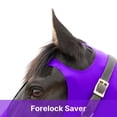 thumbnail image 6 of Resistance Horse Hood Pull-On with Face & Forelock Saver, Lycra Material, All Season, Small - Xlarge sizes, 6 of 7