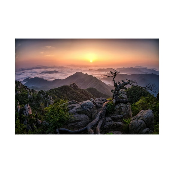 Canvas Wall Art - Tiger Seo 'Sunrise On Top' Wall Art for Living Room, Bedroom, or Office Décor by Trademark Fine Art - 19 x 12 Inches