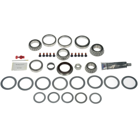 Dorman 797-119 Rear Differential Bearing Kit for Specific Models