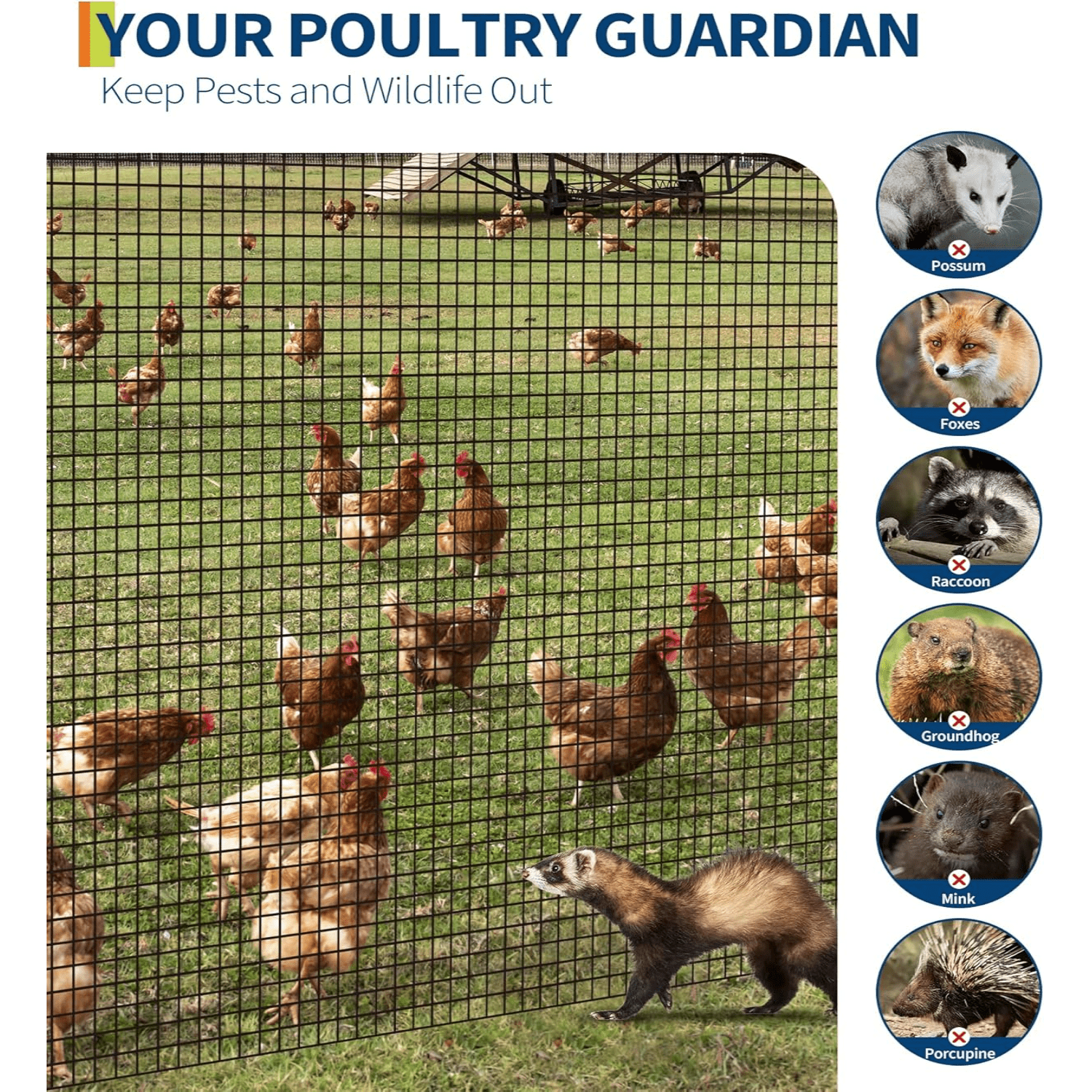 1/2 inch Hardware Cloth - Hot-Dip Galvanized After Welding Wire Mesh Roll  Chicken Fence, Rabbit Guard, Tree Protection Heavy Duty Metal Screen