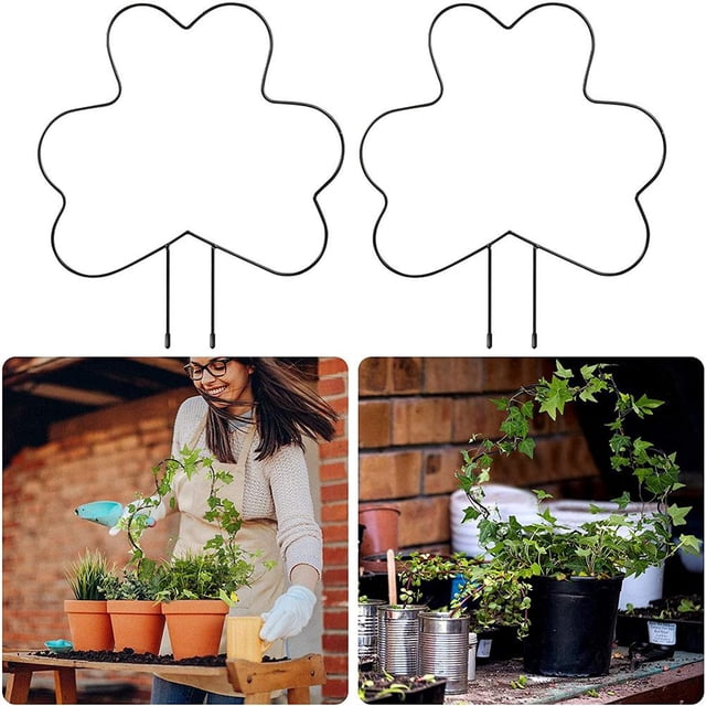 Jardín De Hierro Para Plantas Trepadoras Soporte De Plantas De Vid Para Enredaderas Trepadoras En Maceta 2 Uds Estaca Sweethay HA035757-00