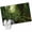 Forest Green Dark Green, variant on Green Forest Entryway Rug 2'x3' Non Slip Front Door Mats, Summer Botanical Watercolor Modern Art Entrance Rugs Indoor Outdoor Carpet, Washable Floor Mats Small Area Rug for Bedroom Kitchen