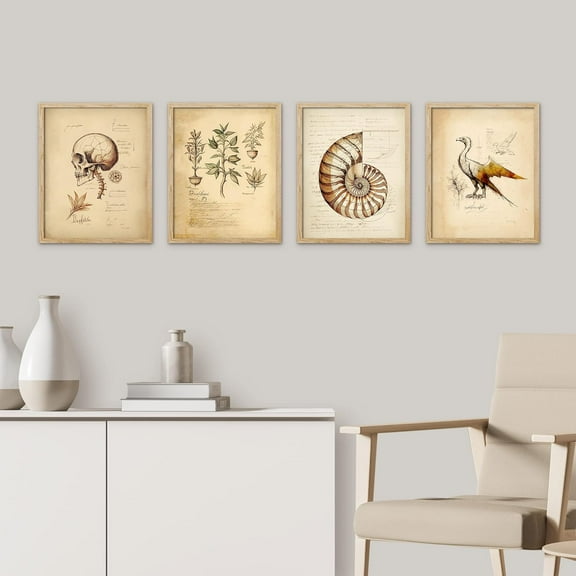 PixonSign Framed Wall Art, Retro Vintage Skull Bird Botany Seashell Chart Posters, Set of 4 Illustration Wall Decor Prints, Modern Contemporary Wall Décor for Bedroom, Office - 8"x10" Natural