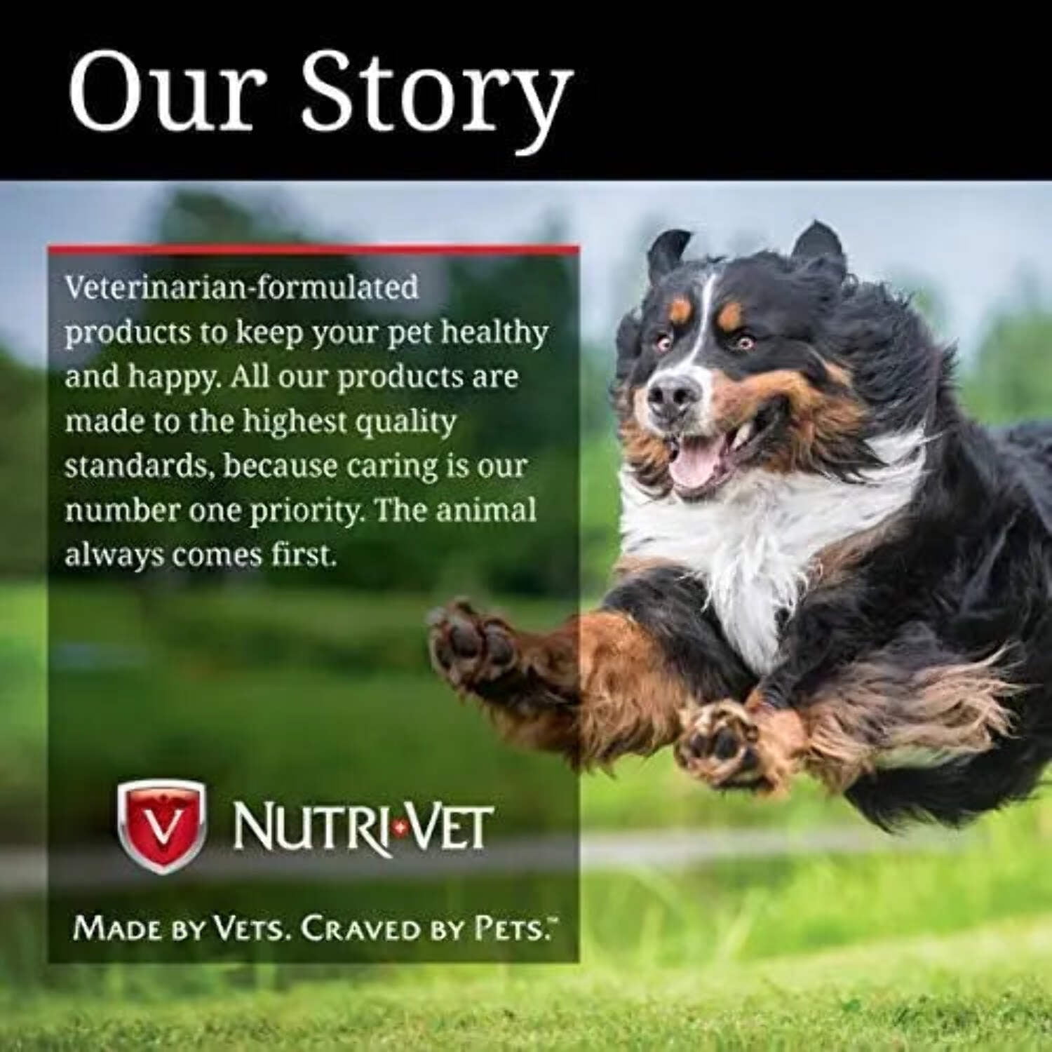 Nutri-Vet Bitter Bandage for Dogs and Cats - 1 Count