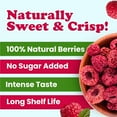 thumbnail image 5 of Organic Freeze-Dried Raspberries, 1.5 Ounces – Non-GMO, Kosher, Bulk - by Food to Live, 5 of 7