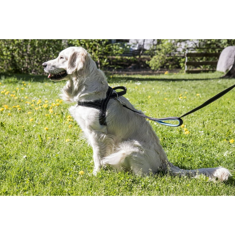 Happilax Norwegian No Pull Dog Harness for Medium to Large Dogs