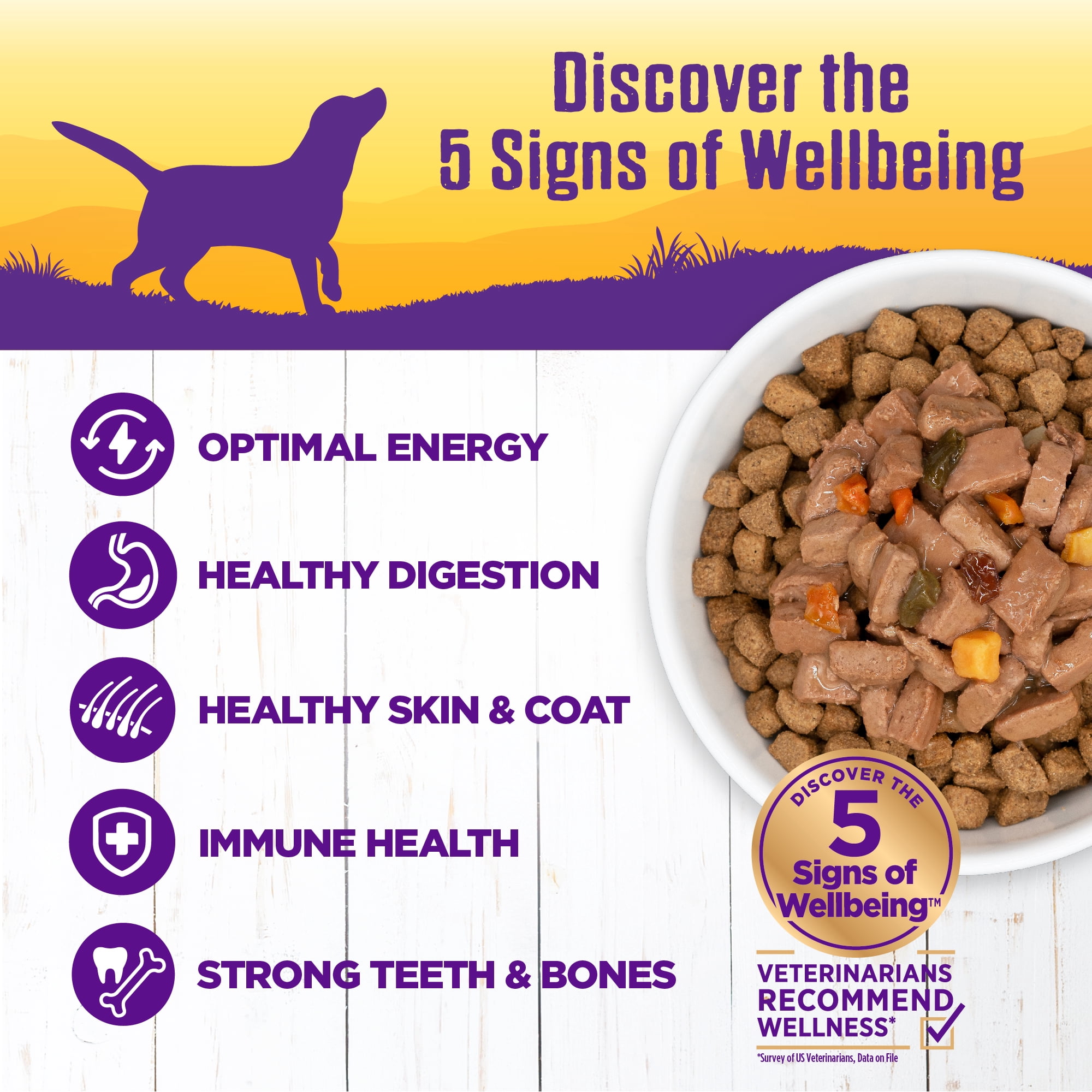 Wellness Complete Health Stew Adult Canned Wet Dog Food, Grain Free, Natural, Turkey and Duck Recipe, 12.5 oz, Pack of 12 Cans