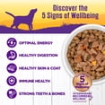 thumbnail image 3 of Wellness Complete Health Stew Adult Canned Wet Dog Food, Grain Free, Natural, Turkey and Duck Recipe, 12.5 oz, Pack of 12 Cans, 3 of 7