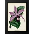 thumbnail image 2 of Paxton 17x24 Black Modern Framed Museum Art Print Titled - Plum Orchid, 2 of 5