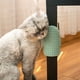 thumbnail image 2 of Peine para cosquillas para gatos, esquina de pared, práctico peine para gatos, peine para pelo de gato, cepillo de baño para perros, rascador de pared para gatos, mascota, 2 of 5