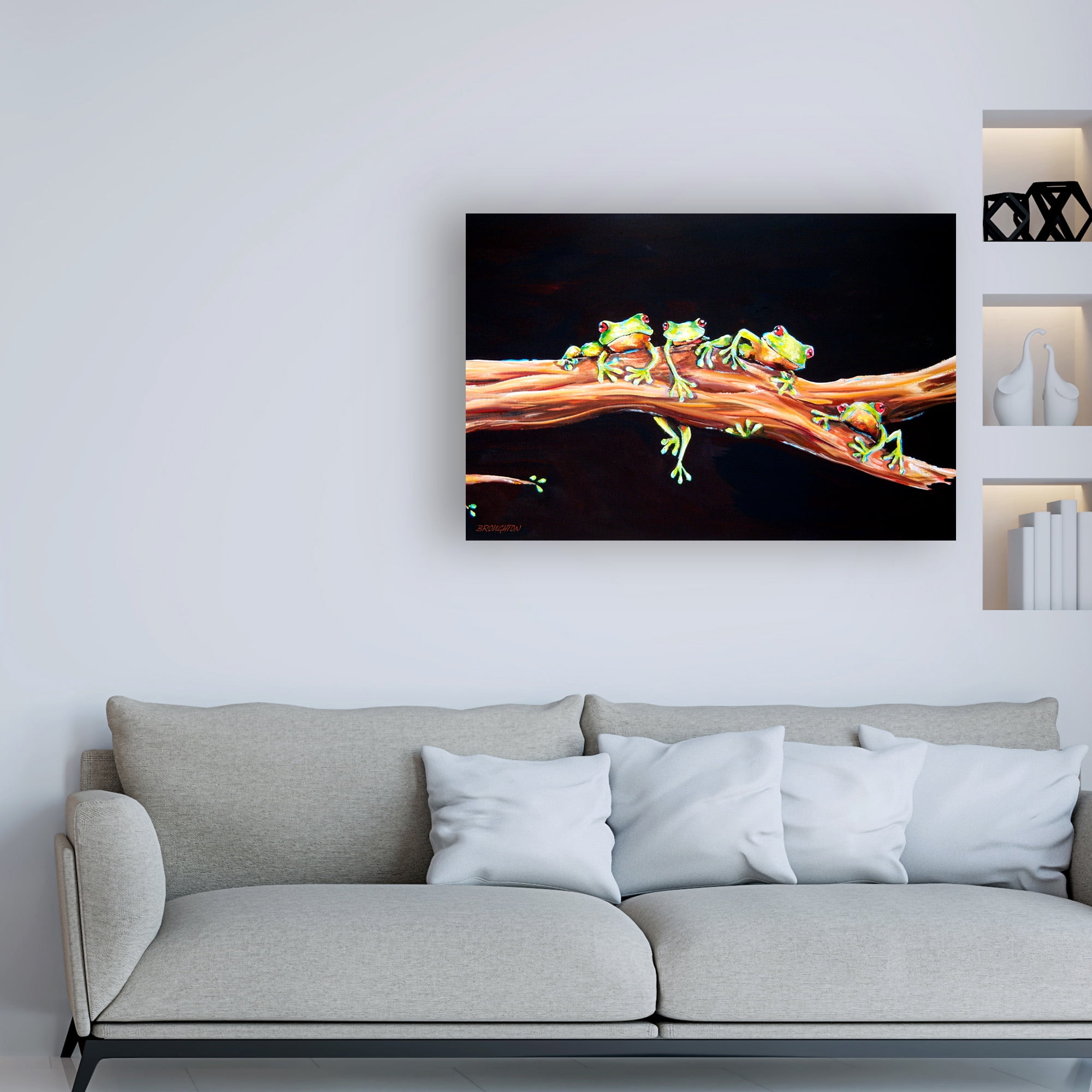 Trademark Fine Art 'Frog Froggie hood' Canvas Art by Deborah Broughton