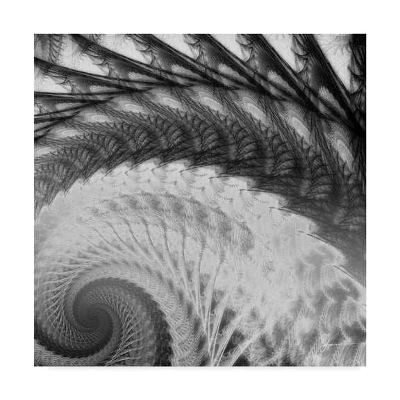 Trademark Fine Art 'Helix I' Canvas Art by James Burghardt