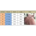 thumbnail image 3 of Izhansean Toddler Baby Girls Flower Dress Princess Party Pageant Dresses Kids Clothes Pink 2-3 Years, 3 of 7
