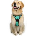thumbnail image 1 of rabbitgoo No-Pull Pet Harness with 2 Leash Clips  Adjustable Soft Padded  Reflective No-Choke Pet Oxford Vest with Easy Control Handle for Large Dogs  Pink  L, 1 of 9