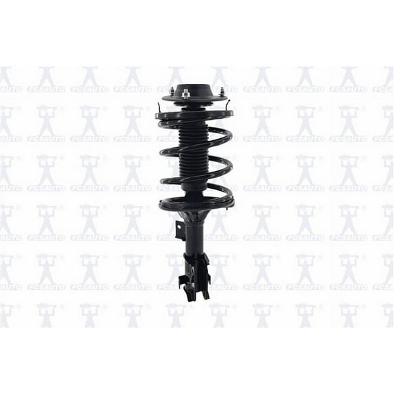 Suspension Strut and Coil Spring Assembly