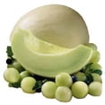 thumbnail image 1 of 150 HONEYDEW GREEN FLESH Cucumis Melo Inodorus Melon Fruit Seeds, 1 of 5