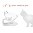 thumbnail image 5 of Cuenco elevado para gatos con soporte elevado, diseño inclinado, soporte para protección del cuello, cuenco elevado para comida y agua para gatos o perros pequeños, 5 of 5