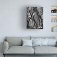 thumbnail image 2 of Yvette Depaepe 'Enchanted Forest ' Canvas Art, 2 of 4