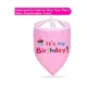 thumbnail image 4 of Conjunto de gorro de cumpleaños para bufanda para mascotas, bufanda para gorro de fiesta para perros, regalo de cumpleaños ideal para mascotas (1 pieza, rosa), 4 of 5