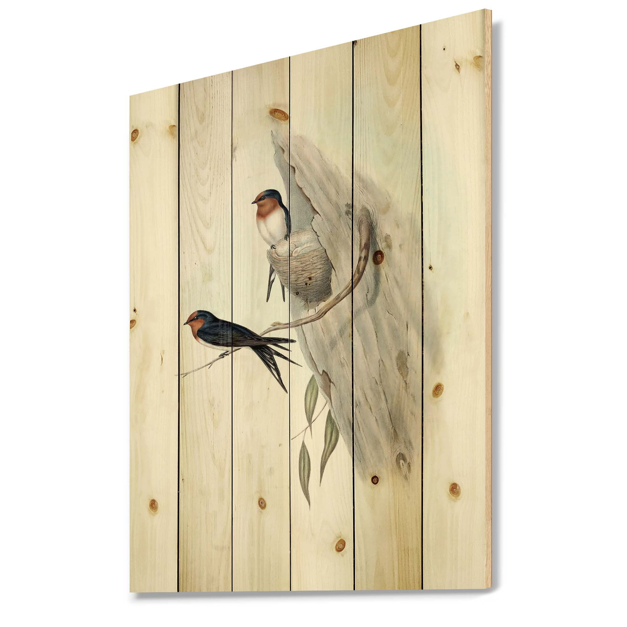Designart 'Ancient Australian Bird Illustrations II' Traditional Print on Natural Pine Wood