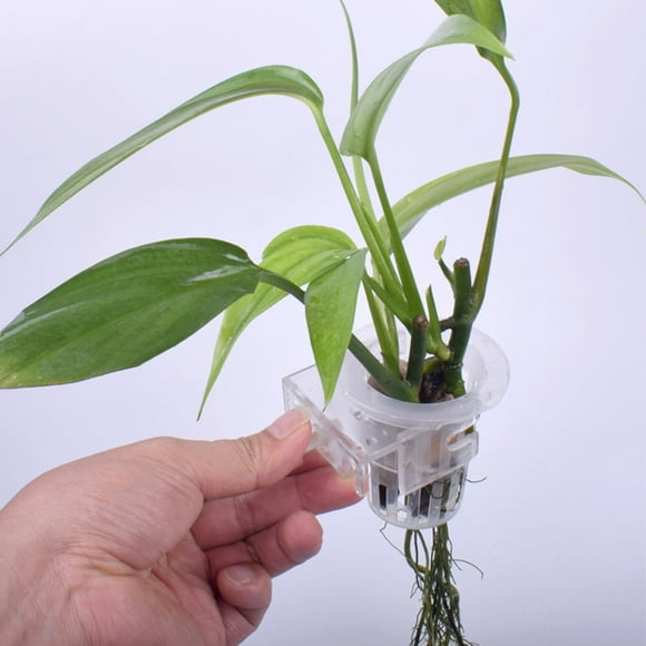 CBFFDC Aquatic Plant Pot 2Pcs Adjustable Plant Cup Hollowed Out Wall mounted Hydroponic Planters Reduce Nitrate in Fish Tank