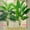 A-2pcs, variant on 2Pcs Outdoor Artificial Green Plants with 24 Leaves Nordic-style Banana Leaf Palm Trees Designed Tropical Rainforest Landscapes