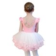 thumbnail image 2 of ‌LYMAYTER ‌Toddler 4-Tiered Tulle Tutu Skirt Girls Ballet Dance Costume Elastic Waist‌ Dance Skirt Or Set, 2 of 8