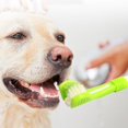 thumbnail image 2 of HISTOTREE Pet Dog Cat 3-Head Toothbrush Plastic+Nylon Oral Care Teeth Cleaning Tool, 2 of 5