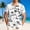 Tops-A177White, variant on Gamivast Mens Beach Shirts Sailboat Print Short Sleeve Button Down Tropical Shirts Casual Summer Tees Soft Breathable Holiday Aloha Party Fashion Tops