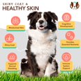 thumbnail image 2 of Suplemento Natural Dog Company Skin & Coat con sabor a salmón, 2 of 8