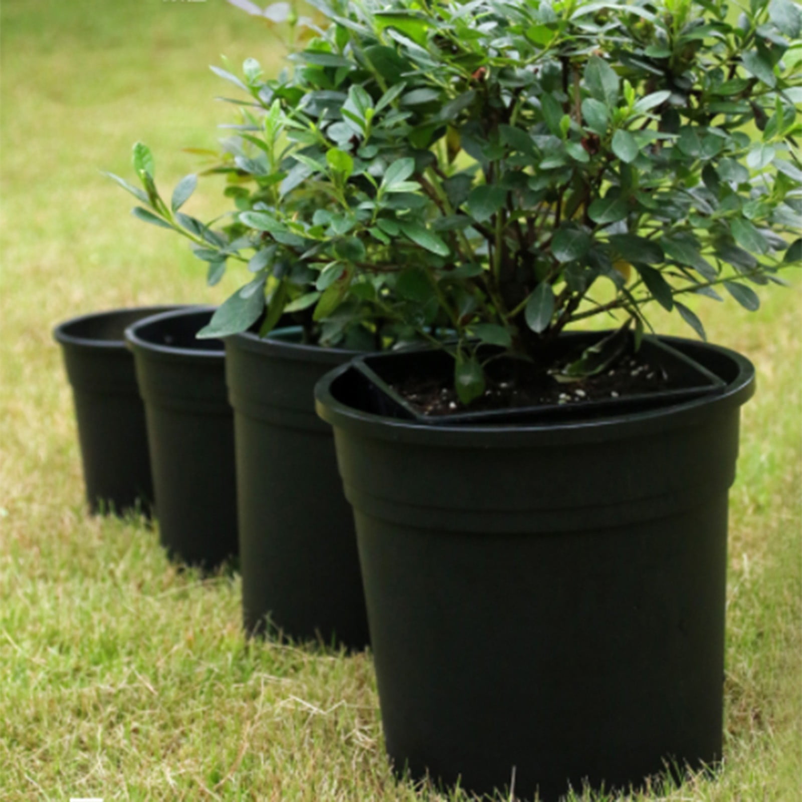 LYINGF Plant Pots Plastic Flower Pots Green Plant Potted Plants Balcony Flower Pots Gardening Plastic Planters - Ideal for Stocking Stuffers or Home Christmas Decorations - Black