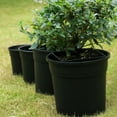Clearance! iZZZHH Plant Pots Plastic Flower Pots Green Plant Potted