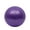 Purple, variant on 25cm Mini Yoga Ball Fitness Pilates Reduce Fat Ball Thick Explosion-proof PVC Non Slip Gym Home Training Workout Exercise Ball