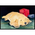 thumbnail image 1 of Carolines Treasures SS8576JMAT Golden Retriever Doormat - 24 x 36 in., 1 of 4
