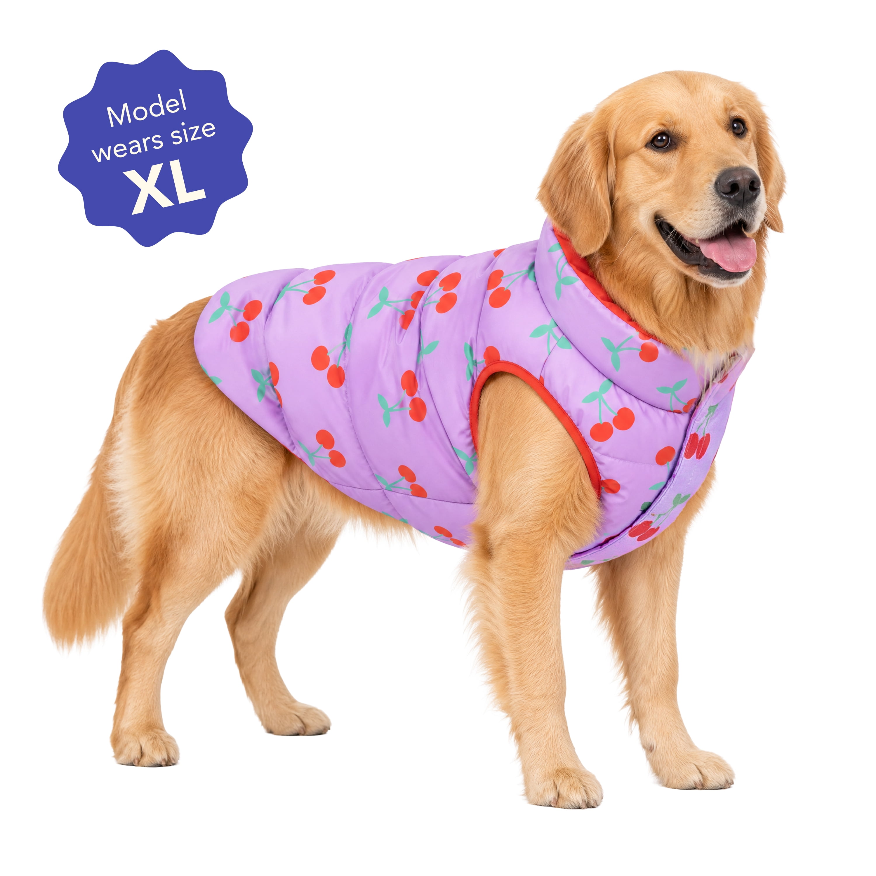 Oodles Cherry Print Quilted Puffer Fall Dog Jacket, Purple, XL